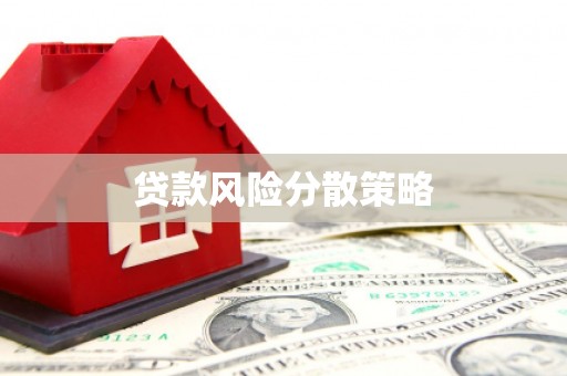 龙华新区贷款风险分散策略