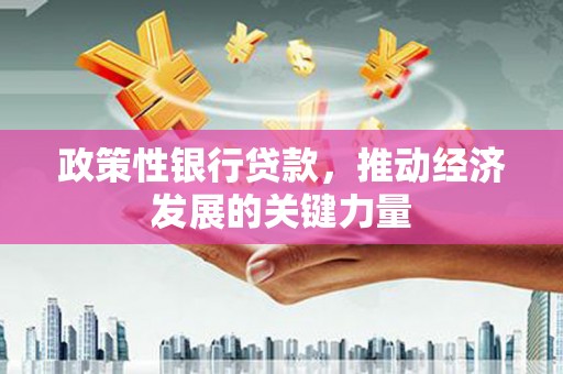 龙华新区政策性银行贷款，推动经济发展的关键力量