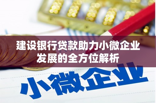 龙华新区建设银行贷款助力小微企业发展的全方位解析