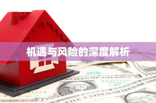 龙华新区机遇与风险的深度解析