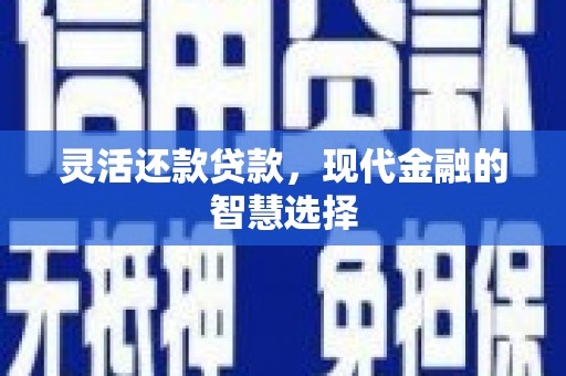 龙华新区灵活还款贷款，现代金融的智慧选择