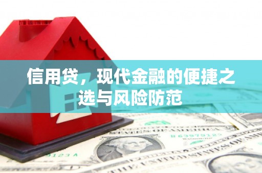 龙华新区信用贷，现代金融的便捷之选与风险防范