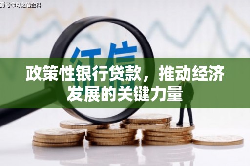 龙华新区政策性银行贷款，推动经济发展的关键力量