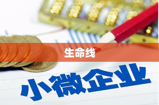 龙华新区生命线