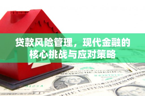 龙华新区贷款风险管理，现代金融的核心挑战与应对策略