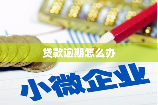 龙华新区贷款逾期怎么办
