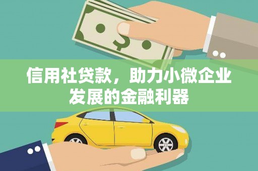 龙华新区信用社贷款，助力小微企业发展的金融利器