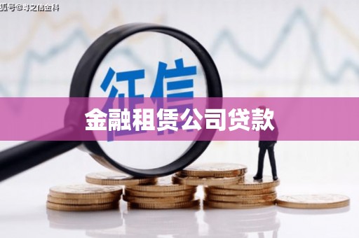 龙华新区金融租赁公司贷款