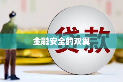 龙华新区金融安全的双翼