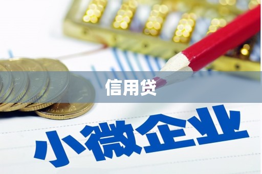 龙华新区信用贷