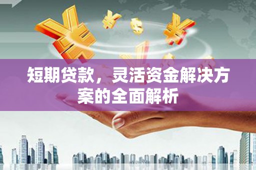 龙华新区短期贷款，灵活资金解决方案的全面解析