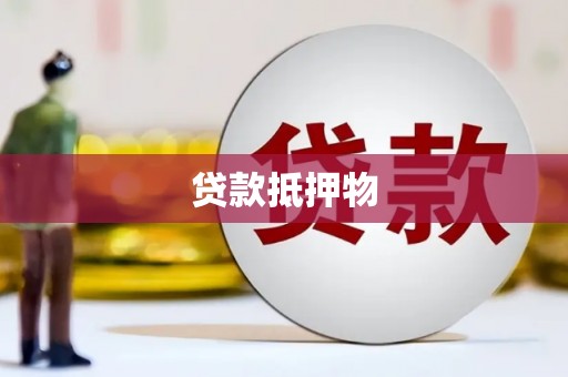 龙华新区贷款抵押物
