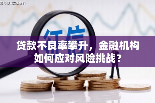 龙华新区贷款不良率攀升，金融机构如何应对风险挑战？