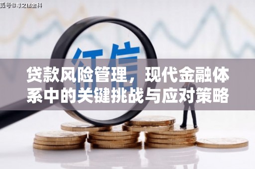龙华新区贷款风险管理，现代金融体系中的关键挑战与应对策略