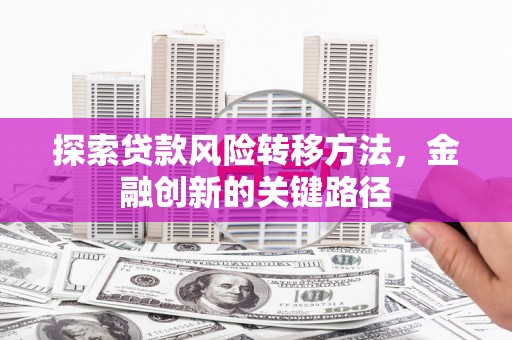龙华新区探索贷款风险转移方法，金融创新的关键路径