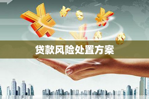 龙华新区贷款风险处置方案