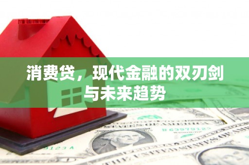 龙华新区消费贷，现代金融的双刃剑与未来趋势