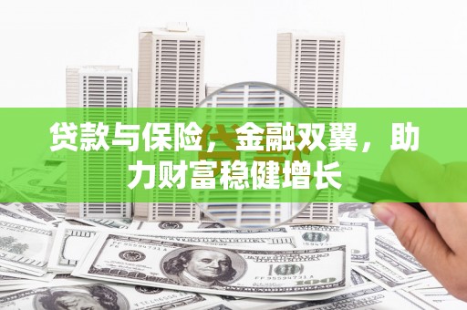 龙华新区贷款与保险，金融双翼，助力财富稳健增长