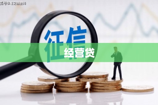 龙华新区经营贷