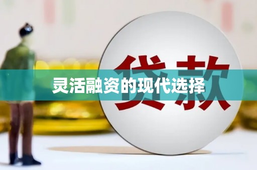 龙华新区灵活融资的现代选择