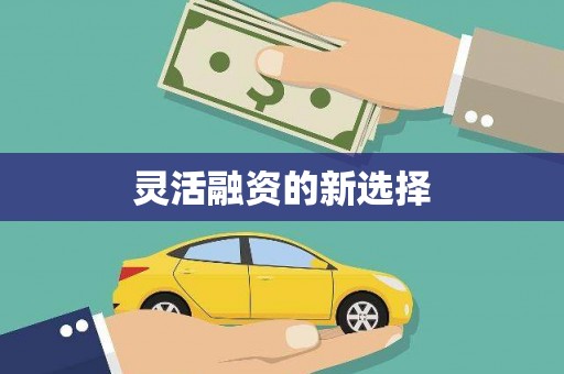 龙华新区灵活融资的新选择