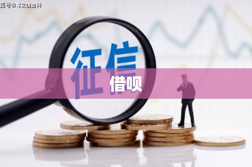 龙华新区借呗