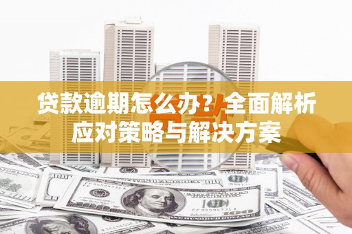 龙华新区贷款逾期怎么办？全面解析应对策略与解决方案