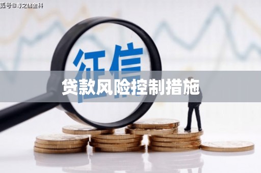 龙华新区贷款风险控制措施