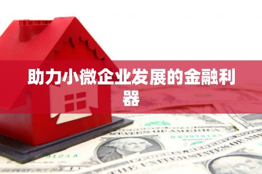 龙华新区助力小微企业发展的金融利器