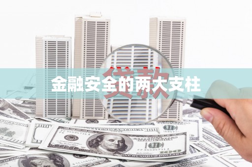 龙华新区金融安全的两大支柱