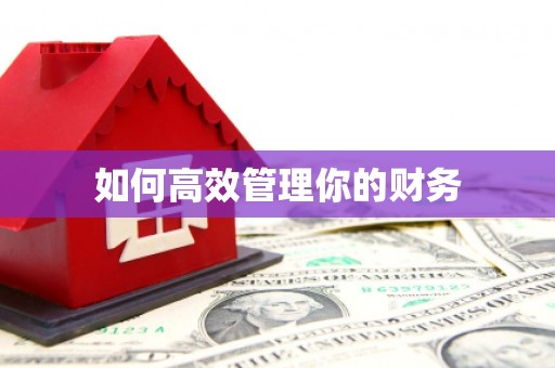 龙华新区如何高效管理你的财务